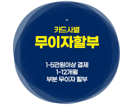 카드사별무이자할부